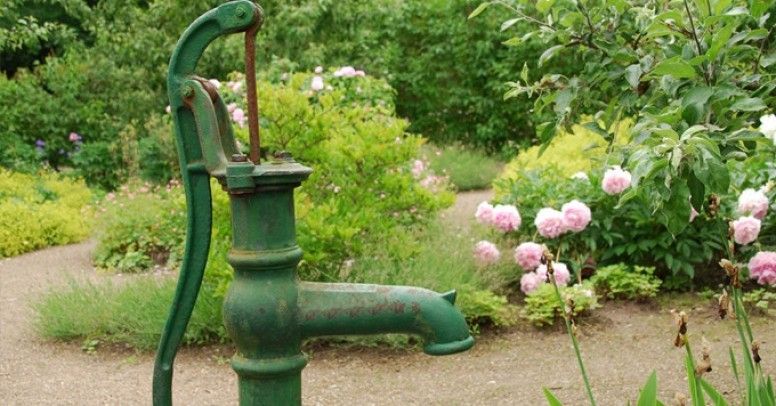 Jak wybrać pompę do nawadniania?
