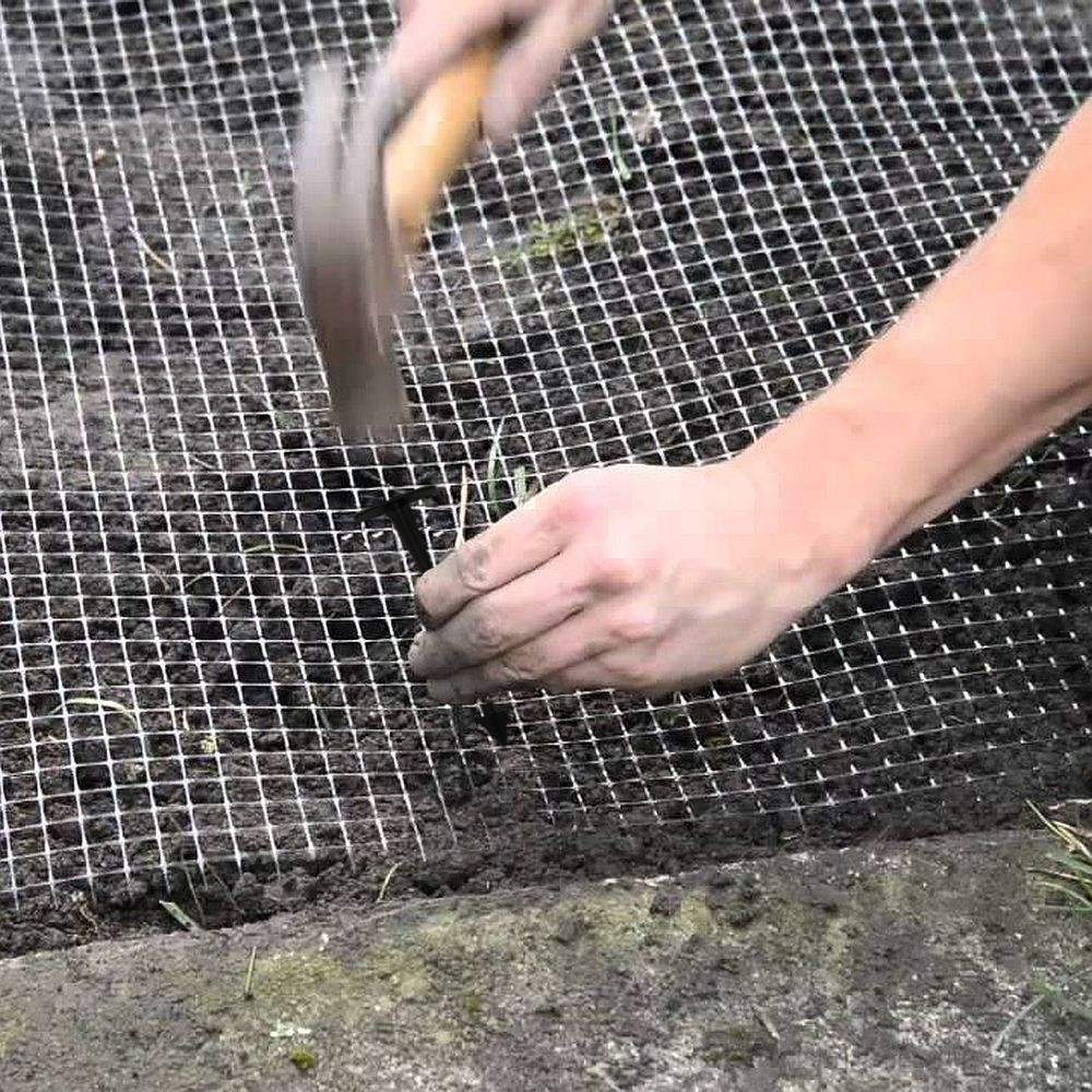 Skuteczna ochrona przed kretami